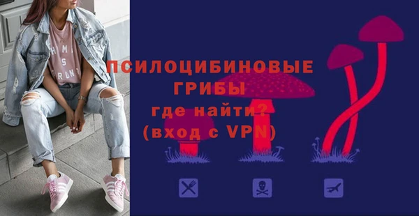трава Арсеньев