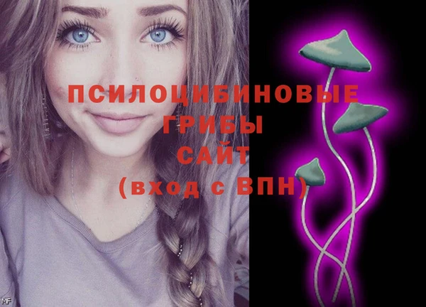 хмурый Алексеевка