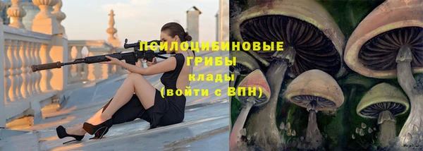 соль курить ск Алзамай