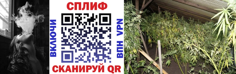 Бошки Шишки VHQ MEGA зеркало Безенчук