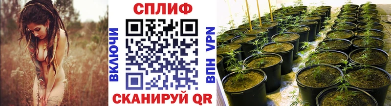 Шишки марихуана OG Kush Безенчук